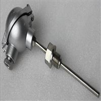 雙支(zhi)鉑熱電(dian)阻Pt100