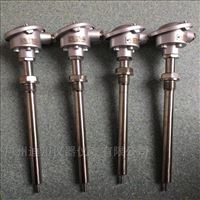 wzp赫(hè)斯曼溫(wēn)度傳感(gǎn)器